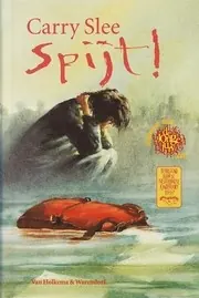 Cover of Spijt!