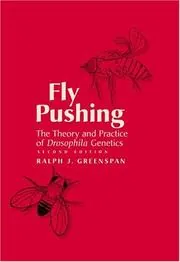 Cover of Fly Pushing