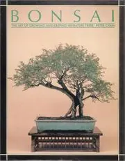 Cover of Bonsai