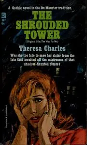 Cover of The Shrouded Tower