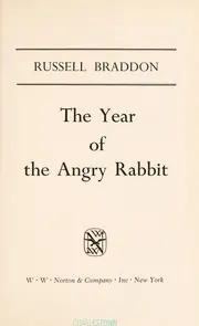 Cover of The Year of the Angry Rabbit