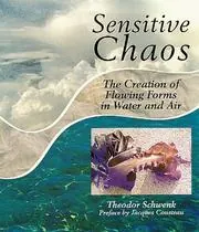 Cover of Sensitive Chaos