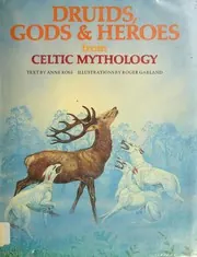 Cover of Druids, Gods & Heroes from Celtic Mythology